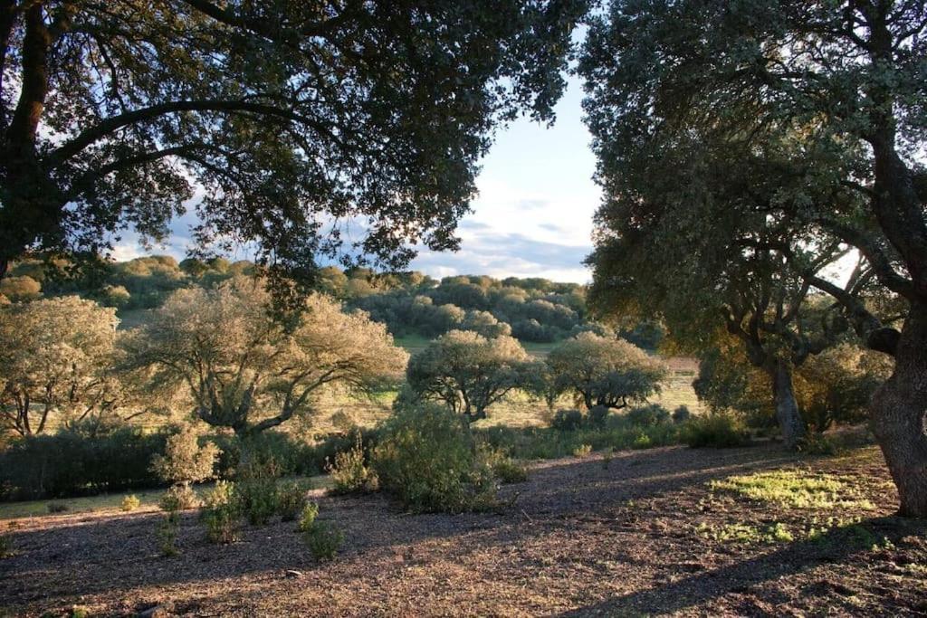 Casa Rural Finca Requejo Cerca De Benavente Tr 49426 Manganeses de la Polvorosa Eksteriør billede