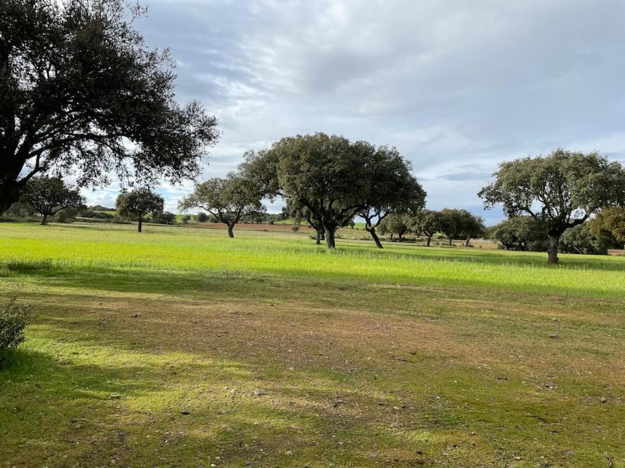 Casa Rural Finca Requejo Cerca De Benavente Tr 49426 Manganeses de la Polvorosa Eksteriør billede