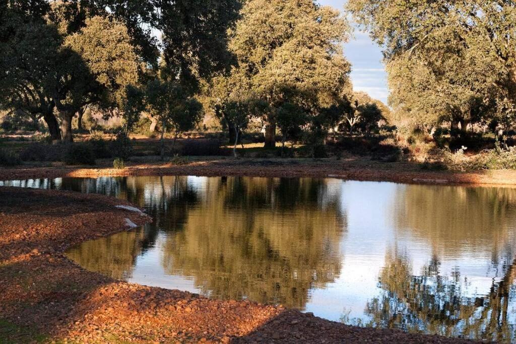 Casa Rural Finca Requejo Cerca De Benavente Tr 49426 Manganeses de la Polvorosa Eksteriør billede